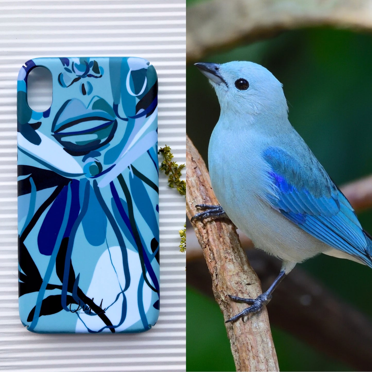 iPhone Case Thraupis