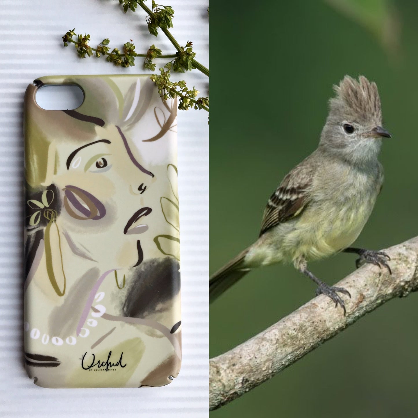 iPhone Case Elaenia